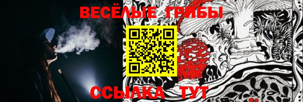 Лосино-Петровский  Галлюциногенные грибы Psilocybe  хочу наркоту  Псилоцибиновые грибы ЛСД  Вход с VPN 